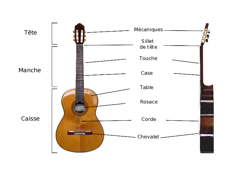 Comment fonctionne une guitare ? Apprendre la guitare (partie 1) : description d'un manche de guitare classique